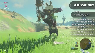 【無編集版】台地のライネル討伐RTA【43分8秒06】