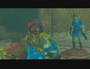 【Switch】リンクの記憶なしで成り行き旅【プレイ動画】part75