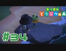 【実況】いつかまた会えたらいいね  #34 【あつまれどうぶつの森】