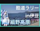 【車載動画】伊豆_細野高原ラリーPart2/2