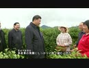 習近平氏、「茶産業の発展で豊かになれる」と強調
