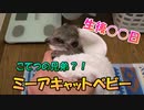 【新しい家族】亡くなった兄弟の分まで幸せに