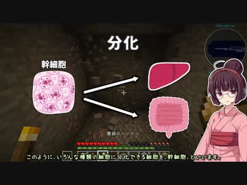 没動画供養 #4　「おくすり求めてMinecraft #1補足」