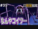【DQMJ2P実況 #35】序盤～中盤エリアの2枠モンスター収集が過酷すぎる…ドラクエジョーカー2プロフェッショナルを初見実況プレイ！