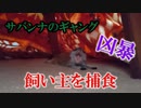 【悲報】飼い主ついに捕食されてしまう