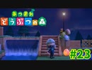 【あつまれどうぶつの森】#23 - 階段横に滝とライトアップをつけてみる♪【女性実況】【どうぶつの森】【あつ森】
