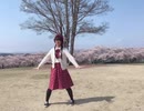 Love Big Bang　キミノミヤ　踊ってみた　『柴わん』
