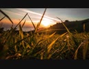 【オリジナル】悲しいこと言うなよ/鏡音レン