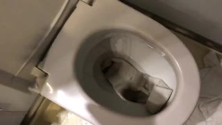 靴下をトイレに流してみた２