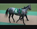 【ウイニングポスト8 2015】女馬主と早世馬の新世界【実況プレイ】395