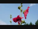 小高健三