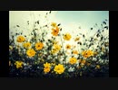【歌ってみた】storia【全部俺】