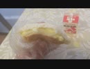 【SV650S】2018年GW東北ツーリング7日目　後編【大潟～酒田】