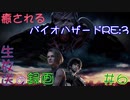 【初見実況】癒されるバイオハザードRE:3　難易度ASSISTED　その６【怖くない】