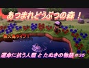 【あつ森】前人未島へようこそ！#35【あつまれどうぶつの森】