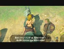 ゾローナ君の馬を寝・・・乗っ取ってみた
