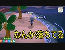 星にお願いをした翌日、海辺に変なものが落ちてました　あつまれどうぶつの森実況プレイPart19