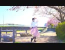 【ぽちゃり】春に一番近い街　踊ってみた【桜の下で】