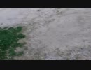 公園に来たのに雨か！！！POKOTINNPO　２