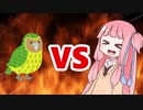 茜ちゃんVSカカポ
