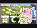 【Minecraft】#18 サバイバルで天空＆海底都市を作る！！！