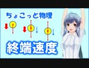 ちょこっと物理【終端速度】