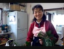のまさんち「シマいリス クリスマス準備なう。」