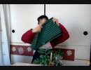 のまさんち「シマいリスのクリスマス準備 その2ヾ(ﾟ∀ﾟ)」