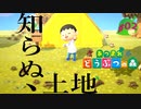 ≪あつまれどうぶつの森≫無人島だってお金はかかるPart.02