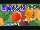 【あつまれ どうぶつの森】闇のバイヤーに遭遇しました。＃24