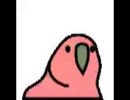 【FGO】ガチャは悪い parrot