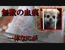 【閲覧注意】朝起きたらペットのお部屋が血まみれでした