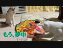 Catch me if you can2で遊んだいちごうとにごう