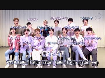 SEVENTEEN(세븐틴)  -  舞い落ちる花びら【応援法】