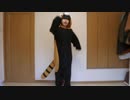 【おそ松さん】ドレミファロンド【踊ってみた】