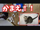 テトリス９９中に起きた悲劇
