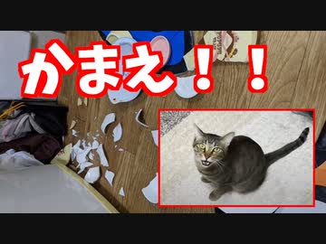 テトリス９９中に起きた悲劇
