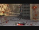 [CoD:MW]これはSKSちゃんですか？