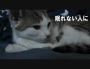 【ねむれない人に】改作・昔話「鶴の恩返し」みちくさ 小説朗読（作：神野守）