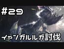 【実況】さぁ狩りの時間だ【MH:W IB】29日目