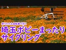 【ミニベロ】埼玉ポピーまったりサイクリング【ポタリング】