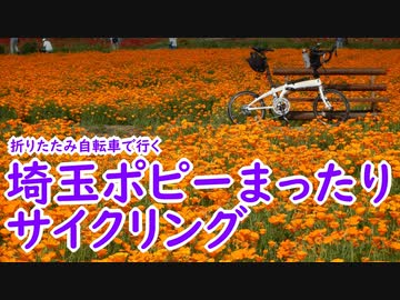 【ミニベロ】埼玉ポピーまったりサイクリング【ポタリング】