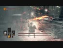 サクッと攻略、SL1と無強化を添えて（双王子編）