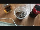 アル中からから(自称二代目)