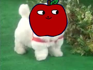 山形直販　愛犬ロボ「りんごろう」