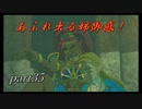 【ゼルダの伝説ブレスオブザワイルド】ゲルド族の英傑との思い出【実況プレイ】part35