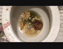 M&M'sとマクドナルドの朝マックをトイレに流してみた