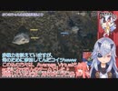 【ゆっくり妖精の原人杯参加記録】　-Part.01(後編)-