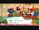 【あつ森】前人未島へようこそ！#37【あつまれどうぶつの森】