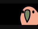 Kemuri_Parrot